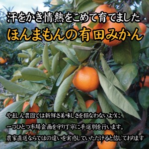 【2022年冬頃発送予約分】【農家直送】完熟有田みかん 約5kg 有機質肥料100%  サイズ混合 先行予約 ※2022年12月上旬～2023年1月下旬に順次発送予定（お届け日指定不可）【nuk118】