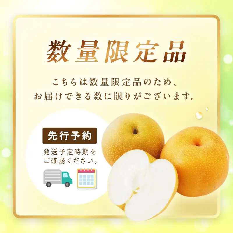 フルーツ 梨【先行予約／数量限定700】新興梨（訳あり） 5kg （7～12玉）（2026年9月下旬～発送）(赤梨 梨 ナシ 梨 梨 梨)