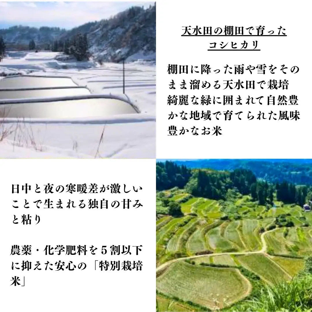 【令和8年産】魚沼産コシヒカリ 冬井のかがやき 5kg