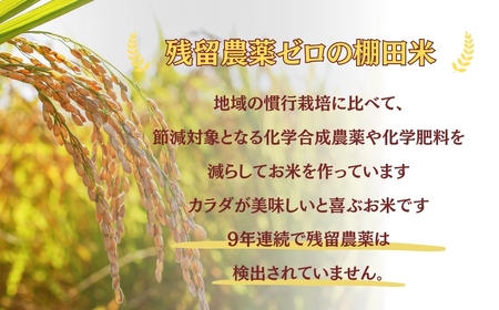 【令和8年 先行予約 定期便】魚沼産コシヒカリ棚田米 玄米 120kg (10キロ×12回) 佐藤農場|おこめ 玄米 小千谷 新潟