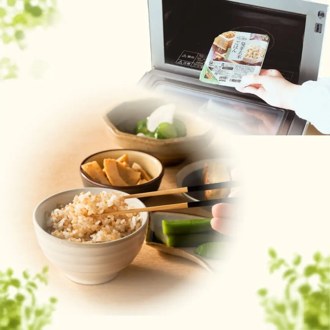 【ふるなび限定】発芽玄米 パックご飯 10個 新潟県産 小千谷市 玄米 FN-Limited-SP