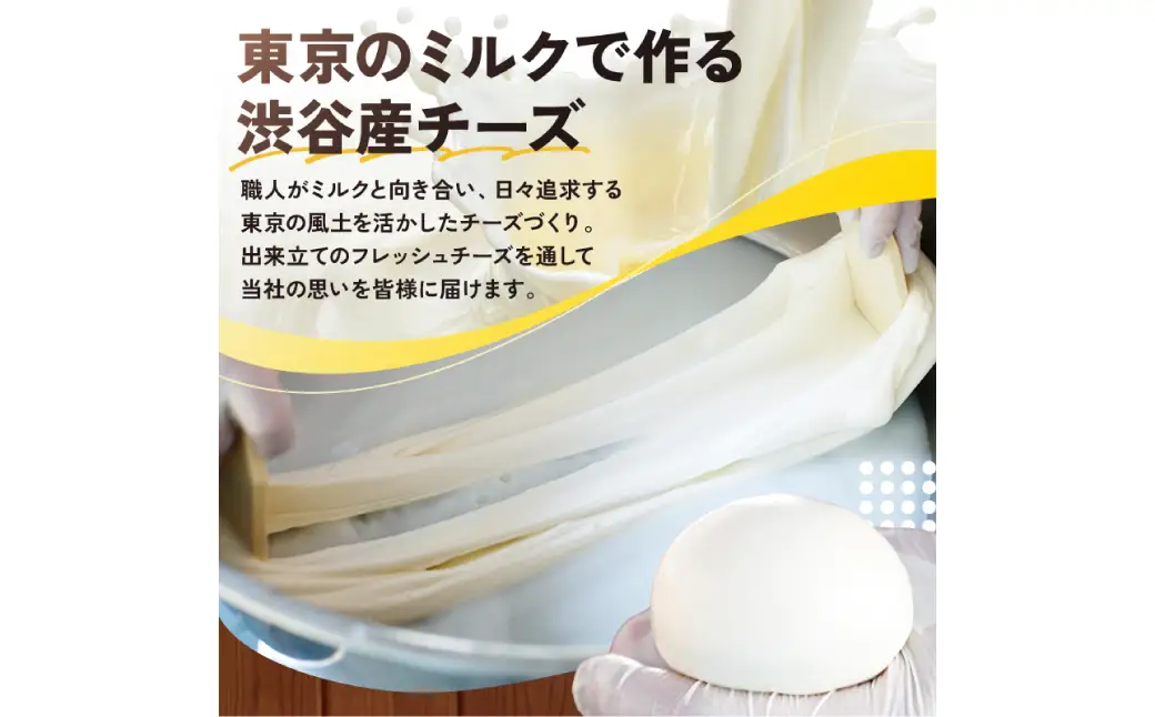 CHEESE STAND 朝食向けフレッシュ3種×3セット 【004005】