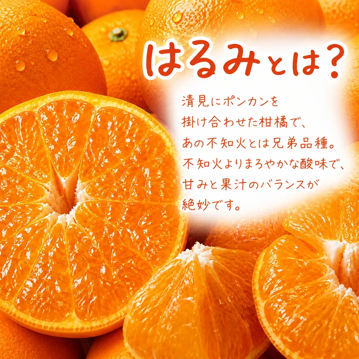 果肉ぷりぷり! 完熟はるみ 約5kg　※2027年1月下旬頃～2027年2月上旬頃に順次発送予定(お届け日指定不可) 【uot732】