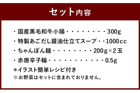 【とんこや】 国産 黒毛和牛 もつ鍋セット あごだし醤油 (2～3人前)