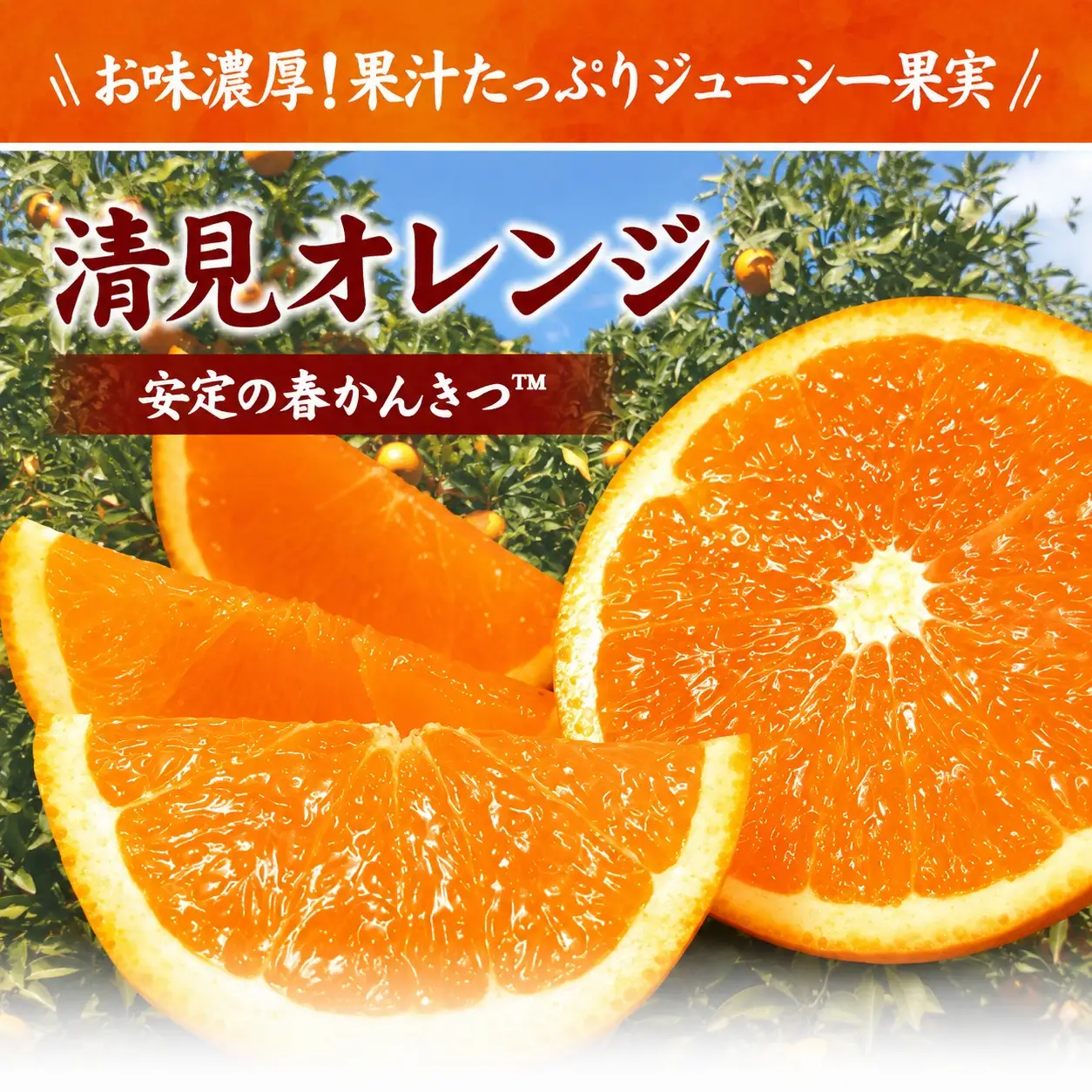 清見オレンジ 約5kg / 果実サイズおまかせ ※2027年2月中旬～2027年4月下旬頃に発送予定　紀伊国屋文左衛門本舗【kstb400B】
