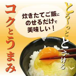 放し飼いたまご『かぐやひめ』150個【福岡上毛町産】_C00101-1