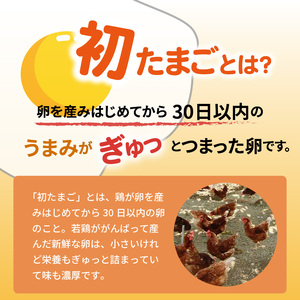 かぐやひめ「初たまご」100個 【福岡上毛町産】 平飼い たまご かぐやひめ 初たまご 100個 Sサイズ 小ぶり 新鮮 濃厚 味 とろける コク 旨味 衛生 品質 管理 エサ こだわり 鶏 たまごかけご飯 オムライス 親子丼 マフィン プリン ご飯 食品 食べ物 お取り寄せ グルメ 福岡県 上毛町 送料無料 _C00901