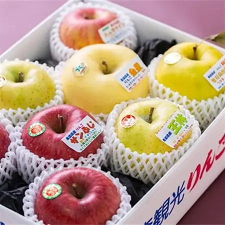 贈答用【令和8年8月～令和8年9月発送分】農家おススメ!旬のりんご約3kg_果物・フルーツ りんご  リンゴ 林檎_【配送不可地域：離島】【1222610】