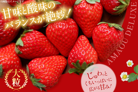 いちご あまおう デラックス 2p いちご 【2027年発送】