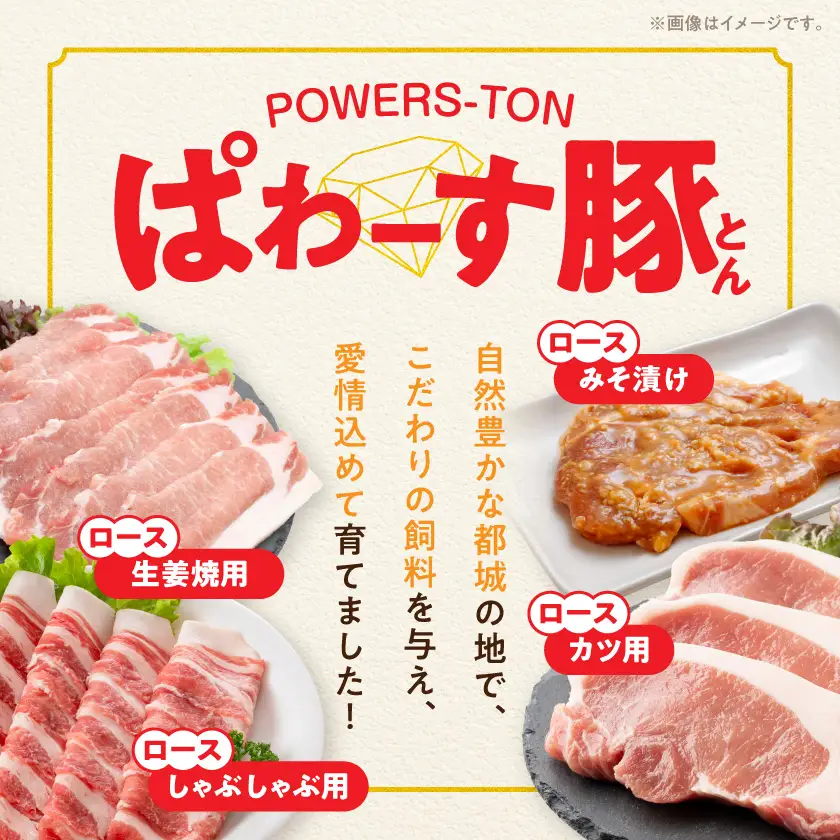 「ぱわーす豚」ロースバラエティセット2.2kg〔18-6402〕_(都城市) 豚肉 豚ロースしゃぶしゃぶ用 (300g×2P) ロースカツ用 (5枚) ロース生姜焼用 (200g×3P) ロースみそ漬け (5枚) 計2.2キロ 銘柄豚 豚加工品
