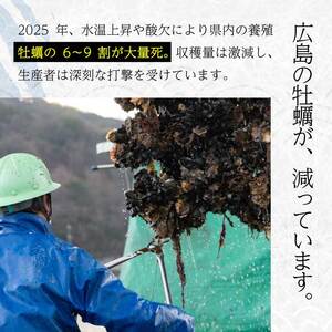 【不漁に負けるな！】広島県産かき使用！ご馳走かきフライ 250g×3セット カキフライ かきふらい 牡蠣 小分け 冷凍 おかず 惣菜 揚げ物 簡単調理 三原市 タカノブ食品 022001