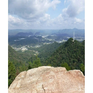 ≪栽培期間中減農薬≫ 三原の絶景白滝山麓の美味しいお米 胚芽米 13.5kg 2025年10月発送予定 瀬戸内ビオファーム ご飯 米 おこめ 002008