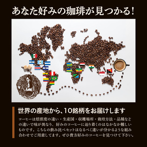 毎月届く！コーヒー300g 粉コース！定期便6ヶ月コース(100g×3) 〔Ec101-P〕