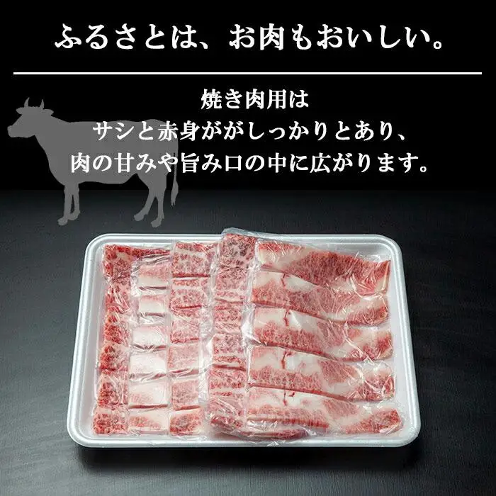 新潟牛 南魚沼産 にいがた 黒毛和牛 焼き肉用 500ｇ 新潟県 南魚沼市｜チルド