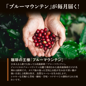 毎月届く　ブルーマウンテン300g・豆コース！3ヶ月コース(100g×3)_ブルーマウンテン No.1 ジャマイカ産 豆 100g × 3袋 計300g × 3回 3ヶ月コース 毎月届く 自家焙煎 コーヒー 珈琲の王様 高級 銘柄 シルキー 苦み 酸味 甘味 コク 焙煎 鮮度 粗挽き 細挽き 常温 お取り寄せ 福岡県 久留米市 送料無料 〔Ec103-B〕