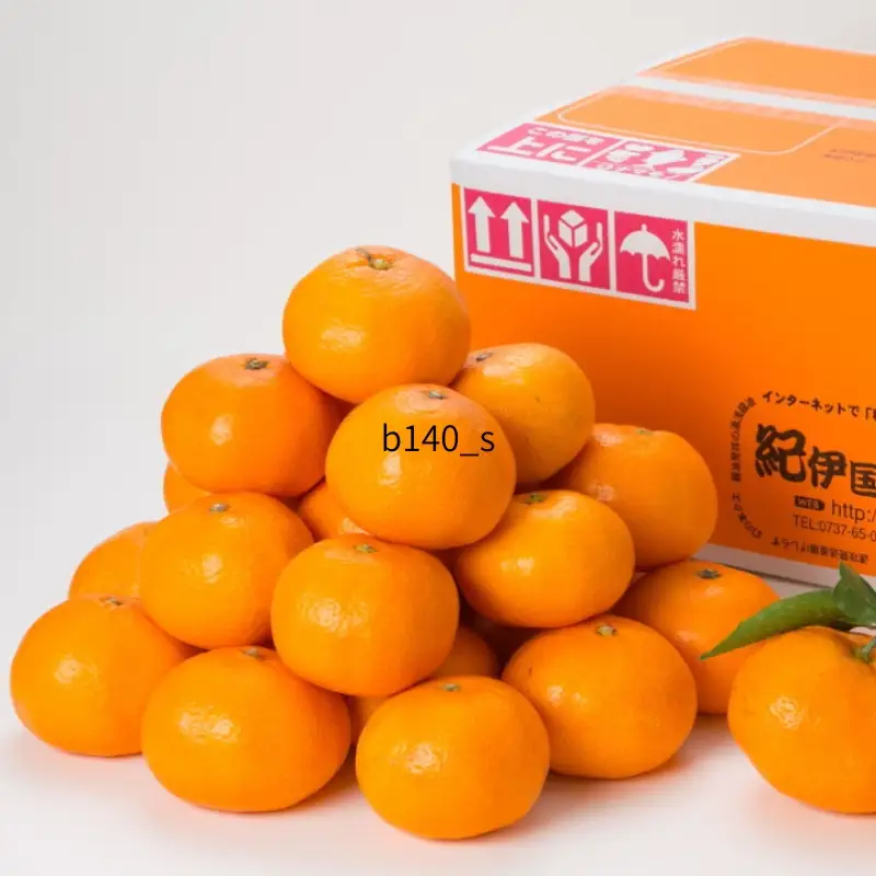【予約受付】ブランド有田みかん　秀品5キロ/サイズお任せ　※2026年10月中旬～2027年1月中旬頃に順次発送予定（お届け日指定不可）　紀伊国屋文左衛門本舗【kstb140C】