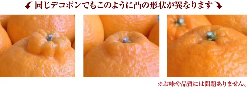 デコ不知火 約5kg/サイズおまかせ　※2027年2月上旬～2027年4月上旬頃に順次発送予定(お届け日指定不可)　紀伊国屋文左衛門本舗　【kstb420A】