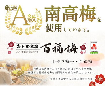 紀州の梅干し 有田みかん蜂蜜梅（紀州南高梅／500g）化粧箱入り 塩分8％_AR6005
