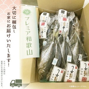 鮮魚問屋の アジの 干物セット (真あじ大4枚 真あじ小6枚 丸あじ4枚)_AD6003n