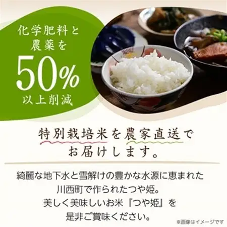 令和7年産　山形県産　つや姫　10kg_米 こめ 白米 精米 精白米 特別栽培米 つや姫 山形県 ブランド米 産地直送 人気 おすすめ 贈答 ギフト プレゼント 送料無料 お取り寄せ お米 ごはん_【1144531】