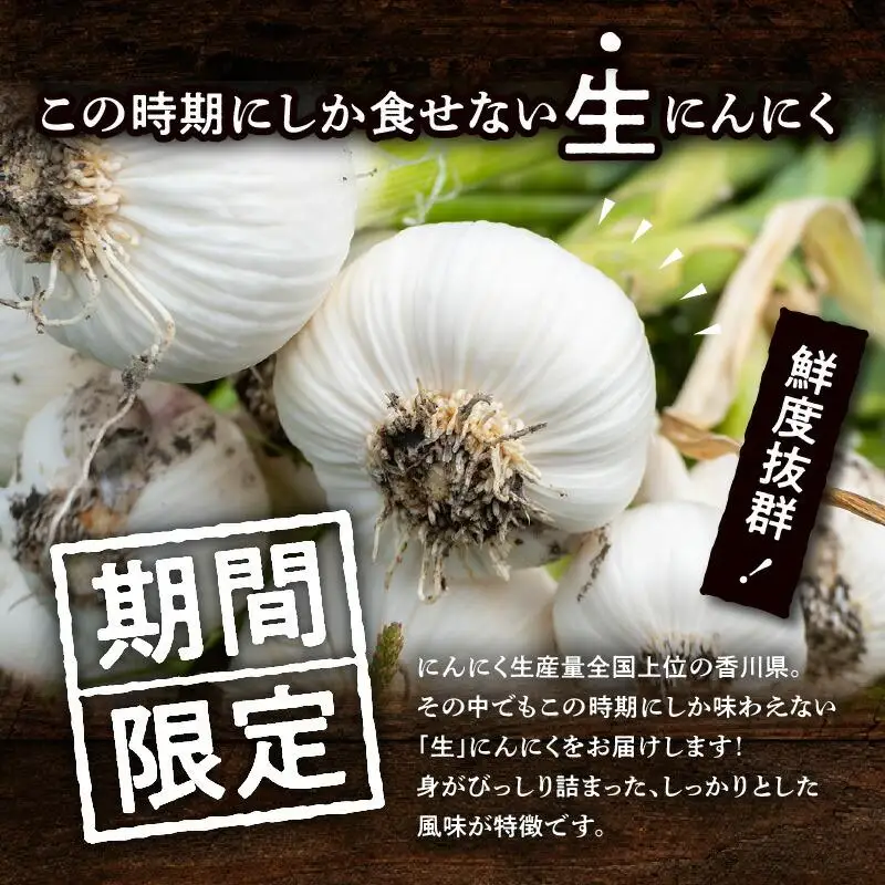 加工用 訳あり 生にんにく 約4kg【2026-5月上旬～2026-6月上旬配送】| にんにく