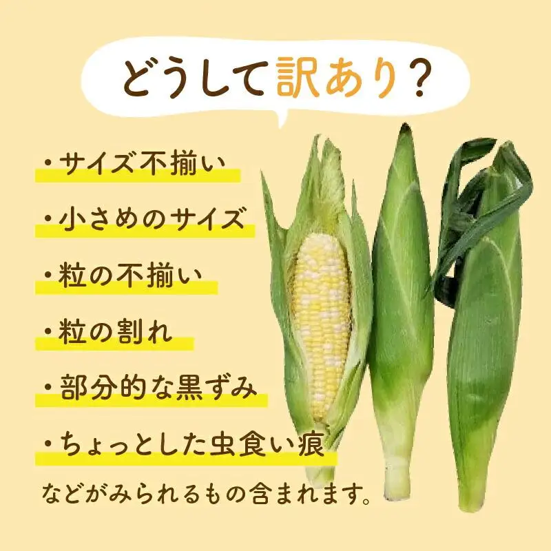 ＼寄附額改定／訳あり ご家庭用ドルチェドリーム 約4.5kg【2027-6月上旬～2027-7月上旬配送】