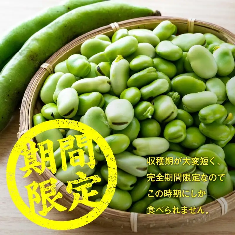 旬の味覚 そらまめ 約4kg【2027年4月下旬～2027年5月下旬配送】