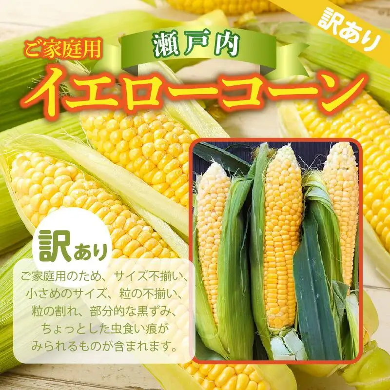 訳あり ご家庭用 瀬戸内イエローコーン 約8kg【2027-6月上旬～2027-7月中旬配送】| コーン