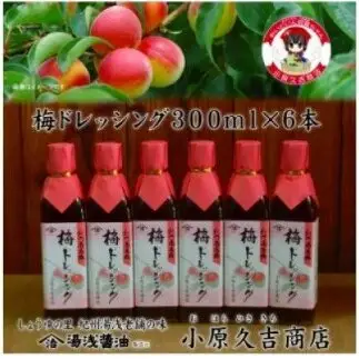 梅ドレッシング・紀州南高梅入 6本組_M6122n
