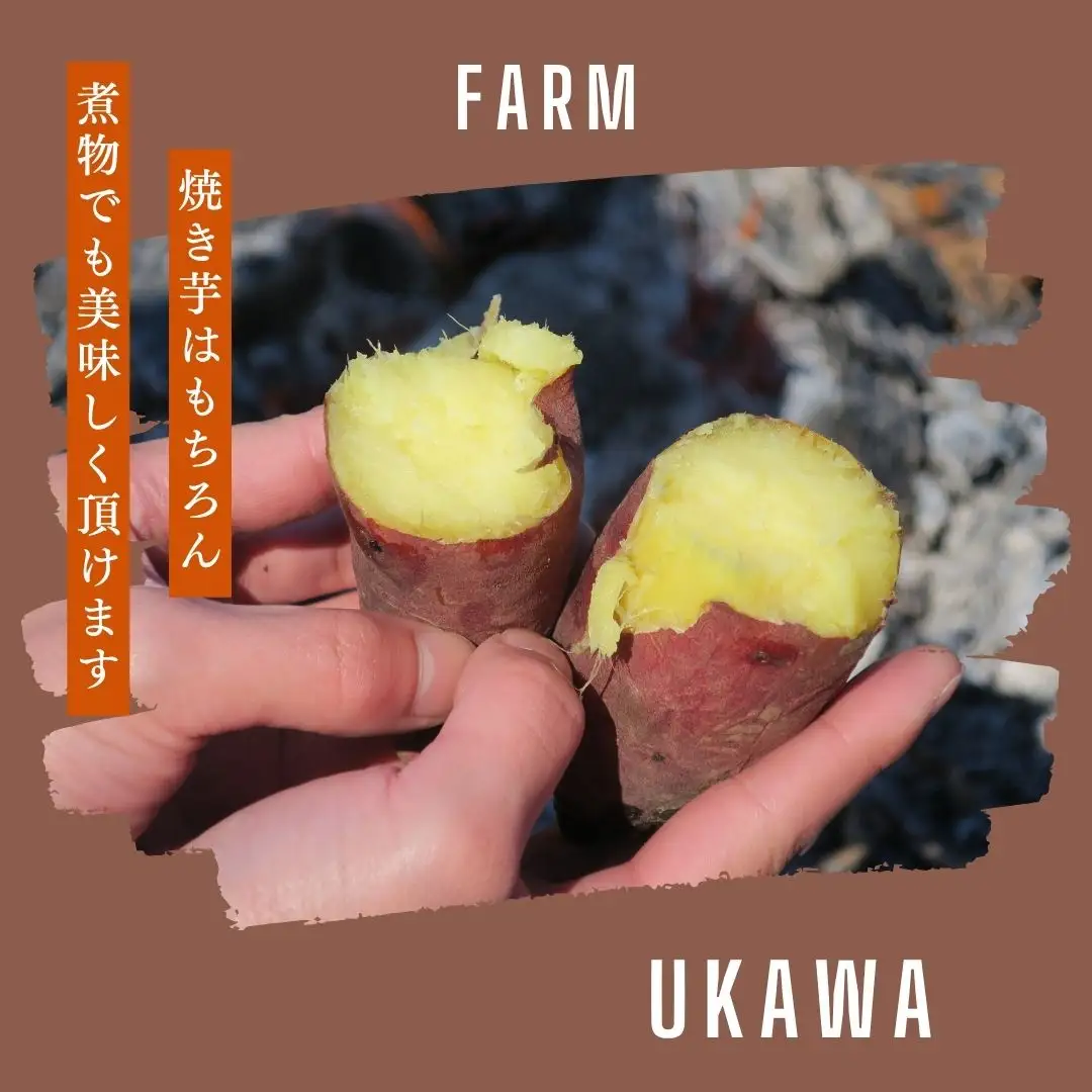 蜜がしたたる北海道産さつまいも「紅はるか」4kg