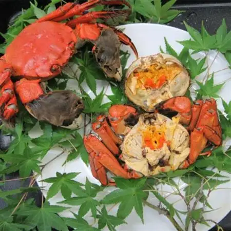 【天然】清流・高津川で獲れる天然モクズガニ[CAS冷凍]8匹【配送不可地域：離島】【1229839】