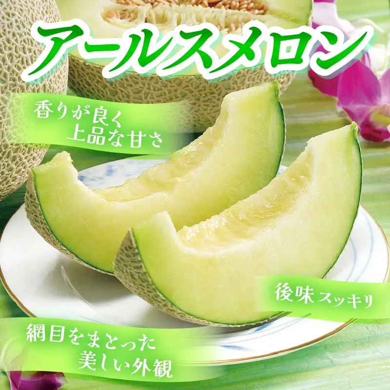 先行予約】メロンの王様！アールスメロン 2玉入 2～3L 〈贈答用にも