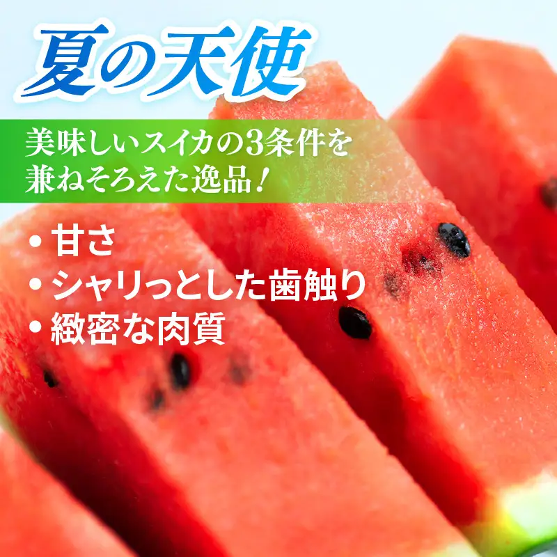 【先行予約】大玉スイカ「夏の天使」 1玉入 （L～2L）抜群の糖度で甘い！／ 期間限定 果物 フルーツ 西瓜 産地直送 ※2027年7月中旬より順次発送 [aw003-a002]
