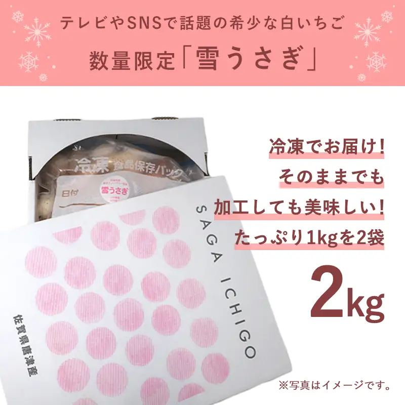  数量限定 白いちご 雪うさぎ 冷凍 2kg (佐賀県唐津市産)