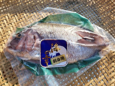（冷蔵） 鯛 セット 1匹 700g 以上 鯛めし 鯛みりん干し 各 1個 城水産 真鯛 まだい たい tai 刺し身 刺身 塩焼き 丸焼き 煮付け 干物 ひもの 魚介 海鮮 海産物 海 お手軽 産地直送 国産 三重 南伊勢 伊勢志摩