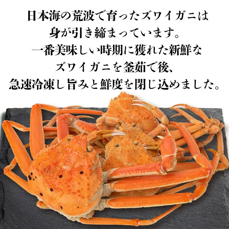【令和8年10月以降発送】 ★訳あり★ 冷凍 鼠ヶ関産ボイルズワイガニ(約1kg)　鶴岡魚類株式会社　K-857