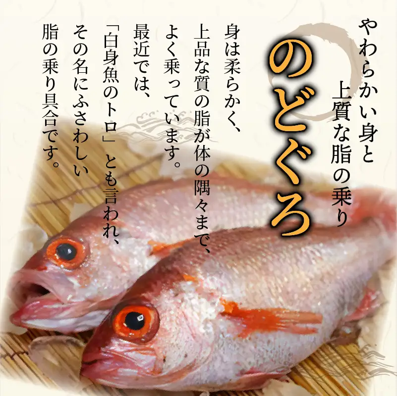 のどくろ、笹カレイ入り 一夜干し詰め合わせ ブラック｜干物