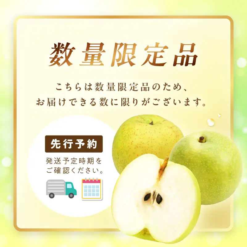 梨 【先行予約／数量限定600】20世紀梨（秀品） 5kg（10～16玉）（2026年8月下旬～発送）フルーツ 果物 梨 なし ナシ 20世紀梨 二十世紀梨 贈答向け