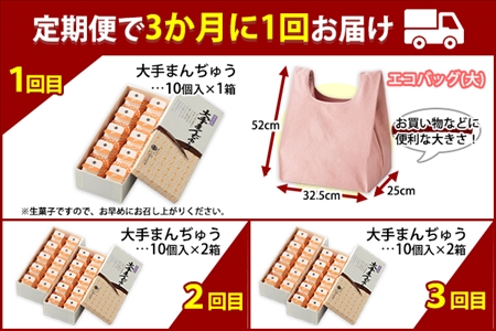 ■定期便■ 北海道 大手まんぢゅう 10個 5箱 全3回 まんじゅう 饅頭 こしあん 自家製餡 北海道産 小豆使用 和菓子 お菓子 銘菓 お茶菓子 お土産 手土産 薄皮 大手饅頭伊部屋 菓子 お取り寄せ エコバッグ エコバック 岡山 送料無料 十勝 士幌町 【M06】