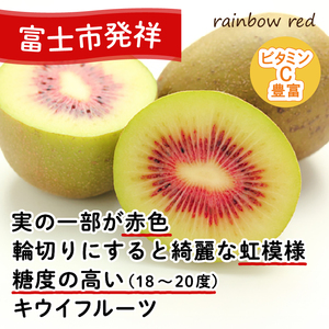 キウイフルーツ レインボーレッド® 3kg 大玉 高糖度 35～40玉 ビタミンC 無農薬 数量限定 期間限定 富士市 [sf001-007]