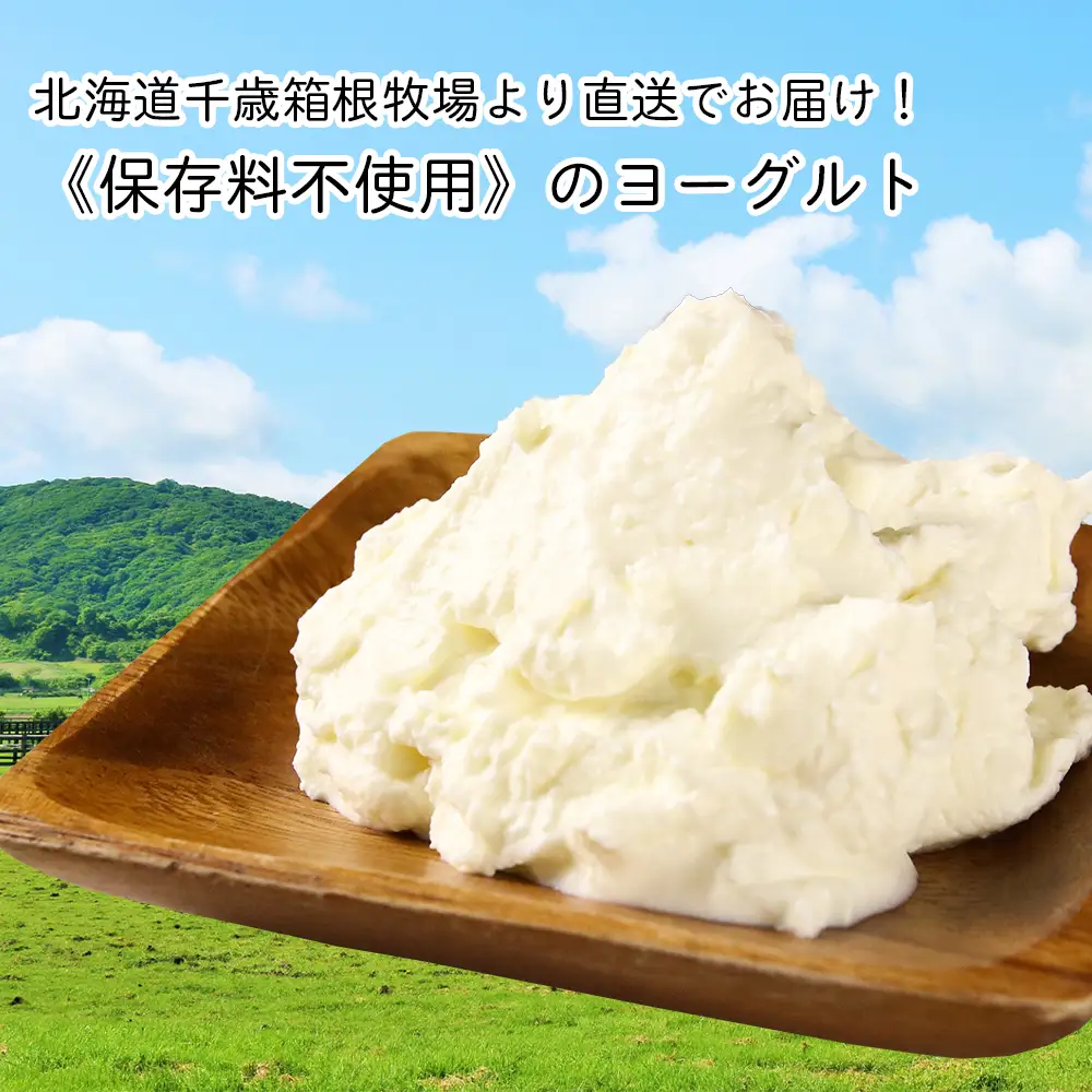 【北海道直送】冷凍できるCHACOのヨーグルト（200g×5個）