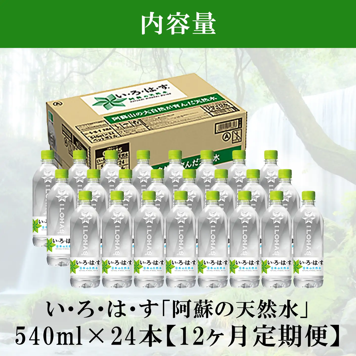 【学びやの里】12回 定期便 い・ろ・は・す 阿蘇の天然水 540ml 24本 1ケース 12ヶ月 計288本 いろはす ILOHAS コカ・コーラ ナチュラルミネラルウォーター 国内ミネラルウォーター 天然水 ミネラルウォーター 地下水 鉱水 九州 熊本 阿蘇 常温配送