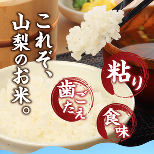 梨北信玄米コシヒカリ10kg（玄米） 粘り 山梨最大の米処 北杜市武川町産 [h067]