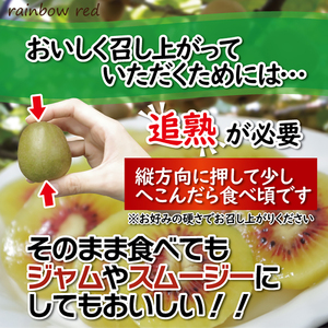 キウイフルーツ レインボーレッド® 2kg 大玉 高糖度 20～25玉 ビタミンC 無農薬 数量限定 期間限定 富士市 [sf001-087]