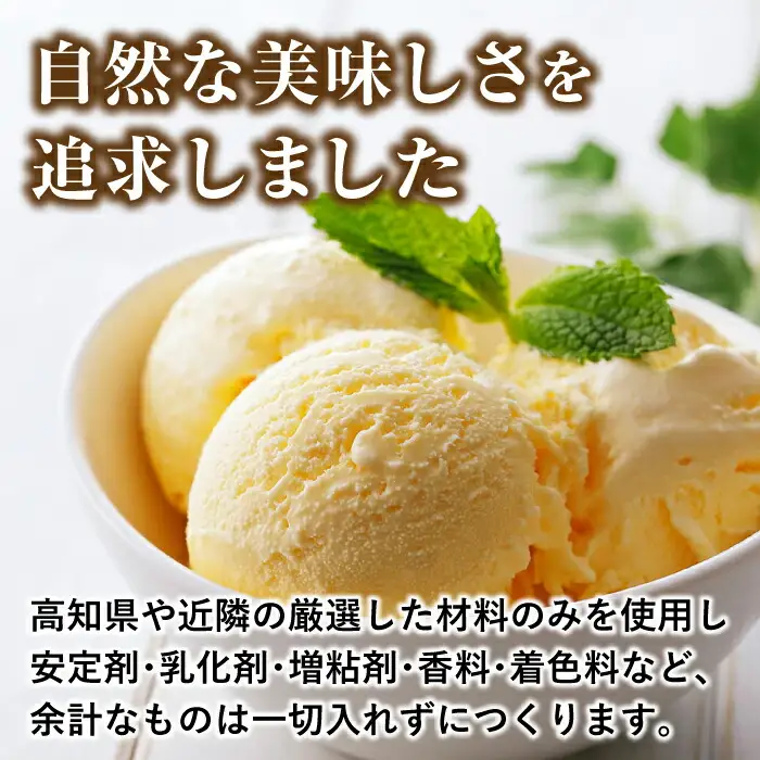 プレミアムアイスクリーム（12個入り） 【cafe du glace】 [ATCL003]
