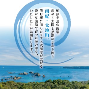 厳選干物 8種セット 創業80年！地元で愛される人気の干物 Gセット ( アジ開き×4枚、カマス開き×4枚、サンマ開き×4枚、タチウオみりん干し100g、マグロみりん干し100g、スルメ、フグみりん干し100g、イラギみりん干し100g) ひもの【sio106A】