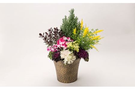 園芸屋さんの寄せ植えデラックス F3S-0808