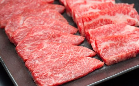 山形牛 焼肉用 300g にく 肉 お肉 牛肉 山形県 新庄市 F3S-2096