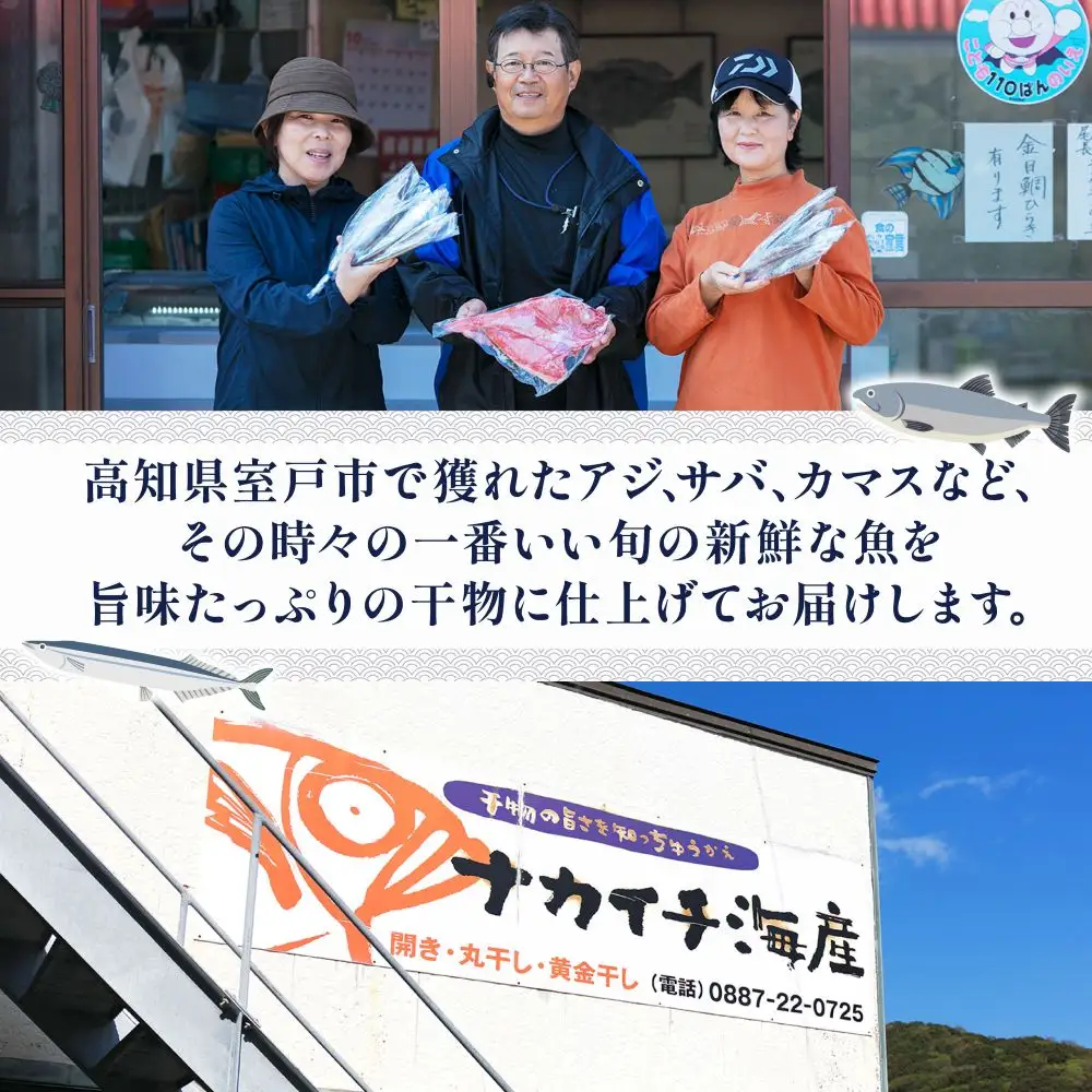 【訳あり干物】室戸産 地魚 干物 3kg