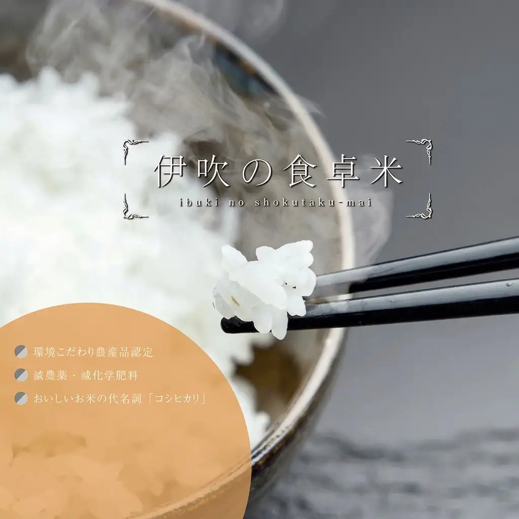 【令和6年産新米】伊吹の食卓米 20kg×3回お届け お米 コシヒカリ 